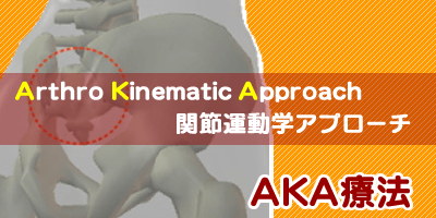 関節運動学アプローチAKA