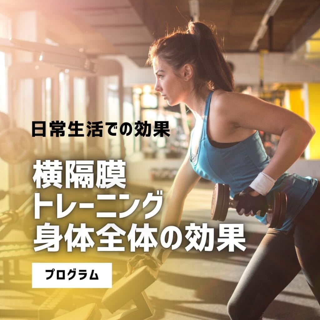 ひまわり接骨院 整体院 瀬戸店で横隔膜の機能を改善しよう