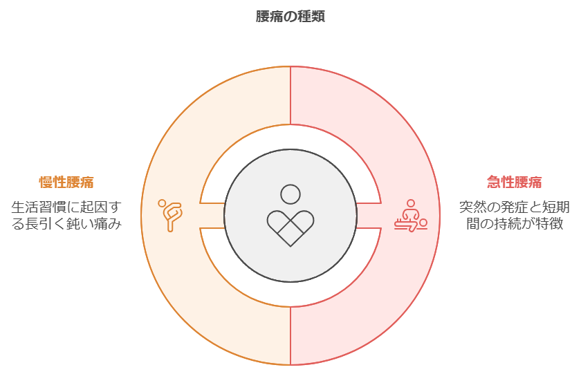 慢性腰痛と急性腰痛